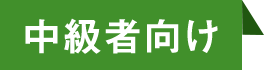 中級者ラベル